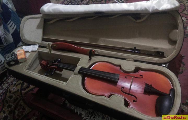 satilik viola sandner 402 aydin sahibinden satilik viyola 634717