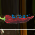 Biber logo