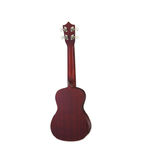 Aria Aria ACU1 Concert Ukulele