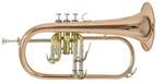 Bach FH501 Flugelhorn (Büğülü)